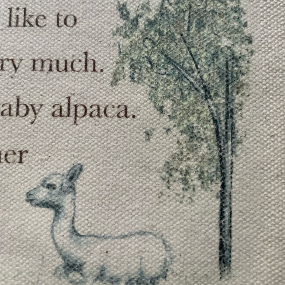 Alpacaly ever after…pouch, wood ruler keychain & eucalan - Picture 7 of 9